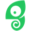 Chameleon logo
